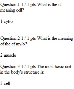 Chapters 2 & 3 Quiz